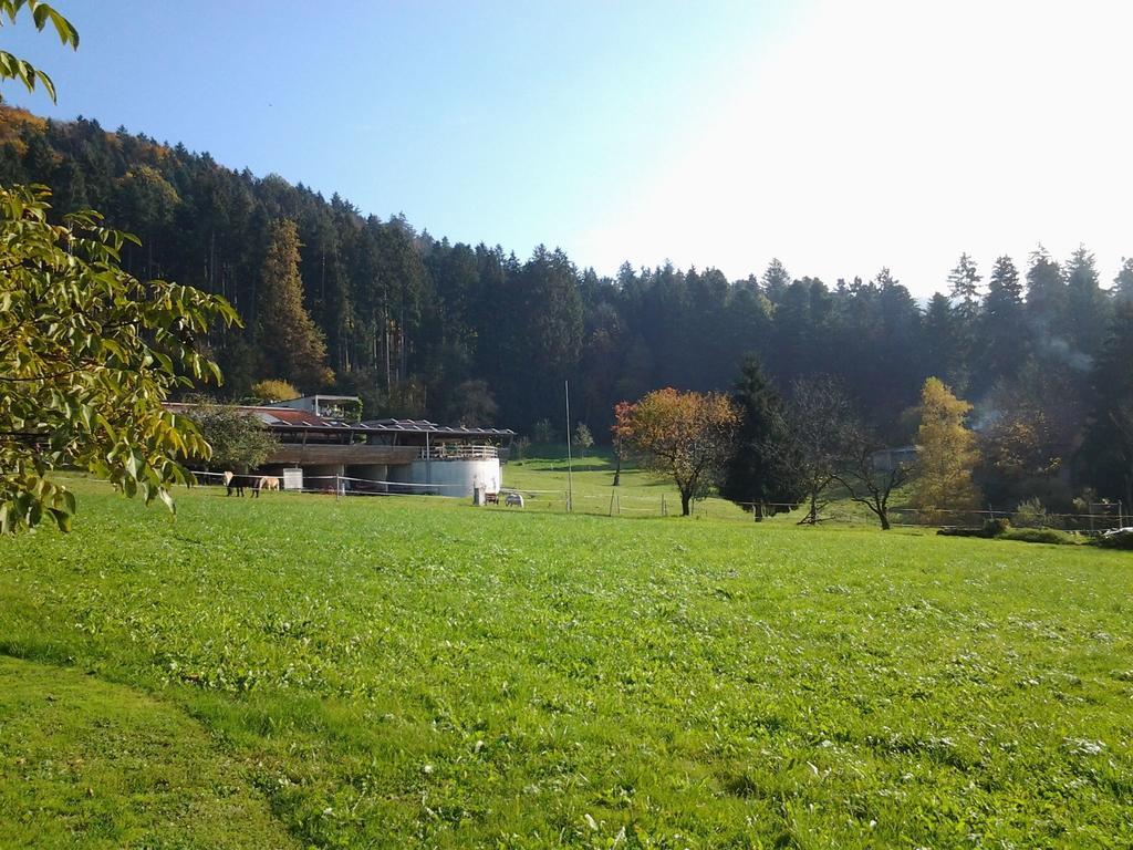 Ferienhaus Sandra Гербранц Номер фото